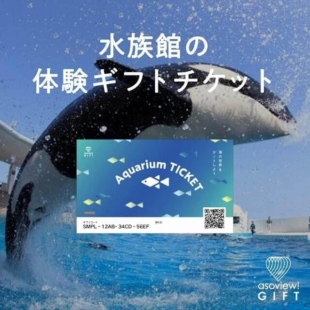 アソビュー！Aquarium TICKET（ペア）